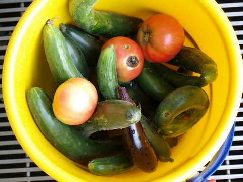 ̵�������