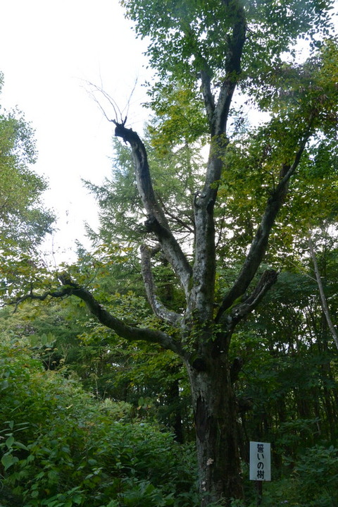 DSC_1326