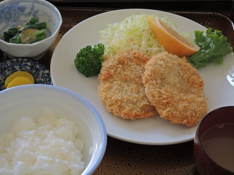 1-DSCN1847
