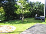 6000d29e.jpg
