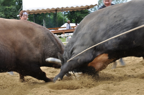 ���Τ��Ȥ�Ф��ä���