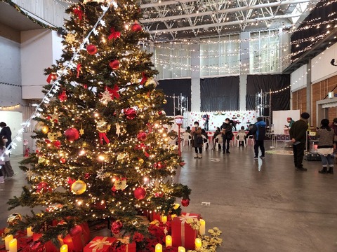 20221203_121816_copy_800x600