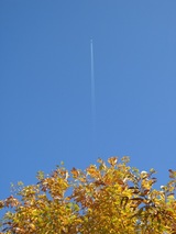 ���Ե����ȹ���