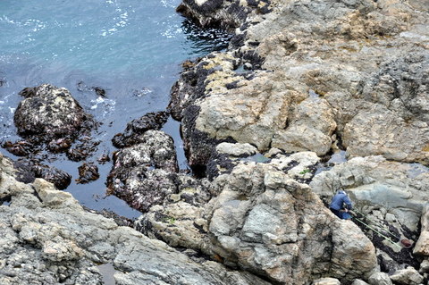 ���ͳ���