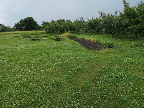 IMG_20220603_153442