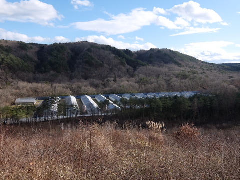 DSCF6986
