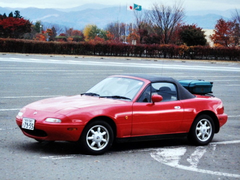 �����ɥ������Ǽ�����ޤ�