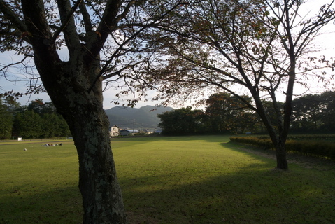 ¶å¸Í¾ëÀ×£±