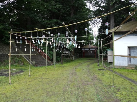 IMG_20200725_181047