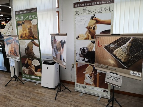 IMG_20221001_141019_copy_800x600