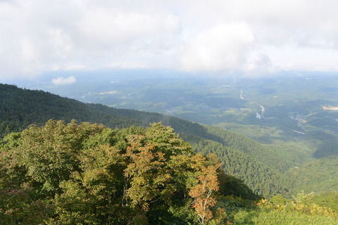 DSC_1292