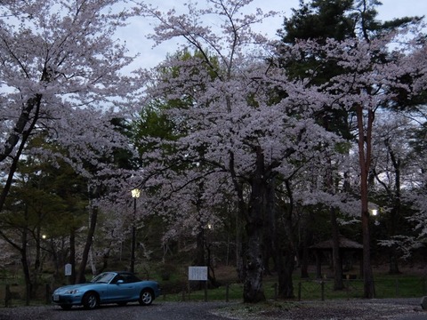 DSCF7042