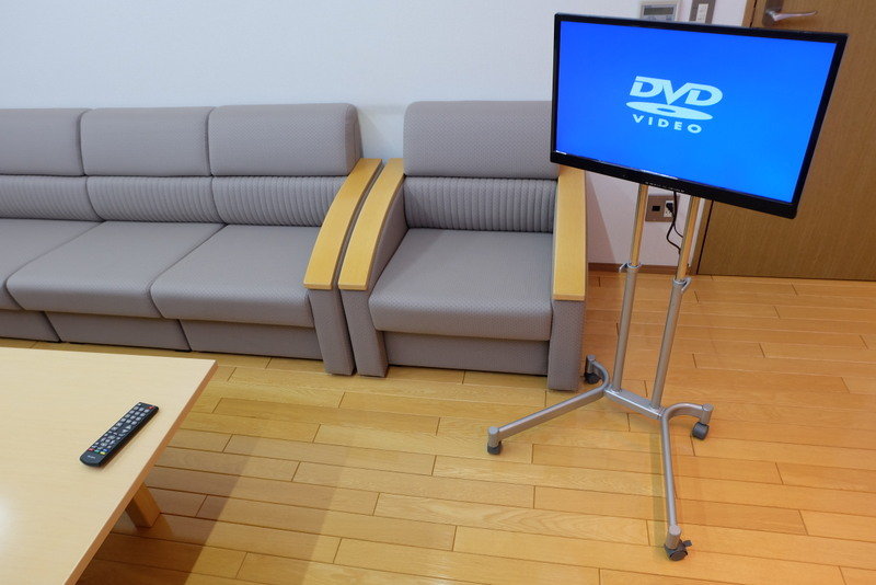 いまどきの無名メーカーのテレビ : きまじめチキン日記