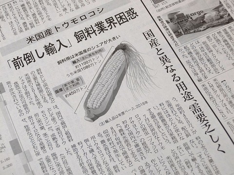 DSCF8910