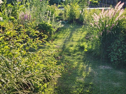 20230619_175707_copy_1024x768