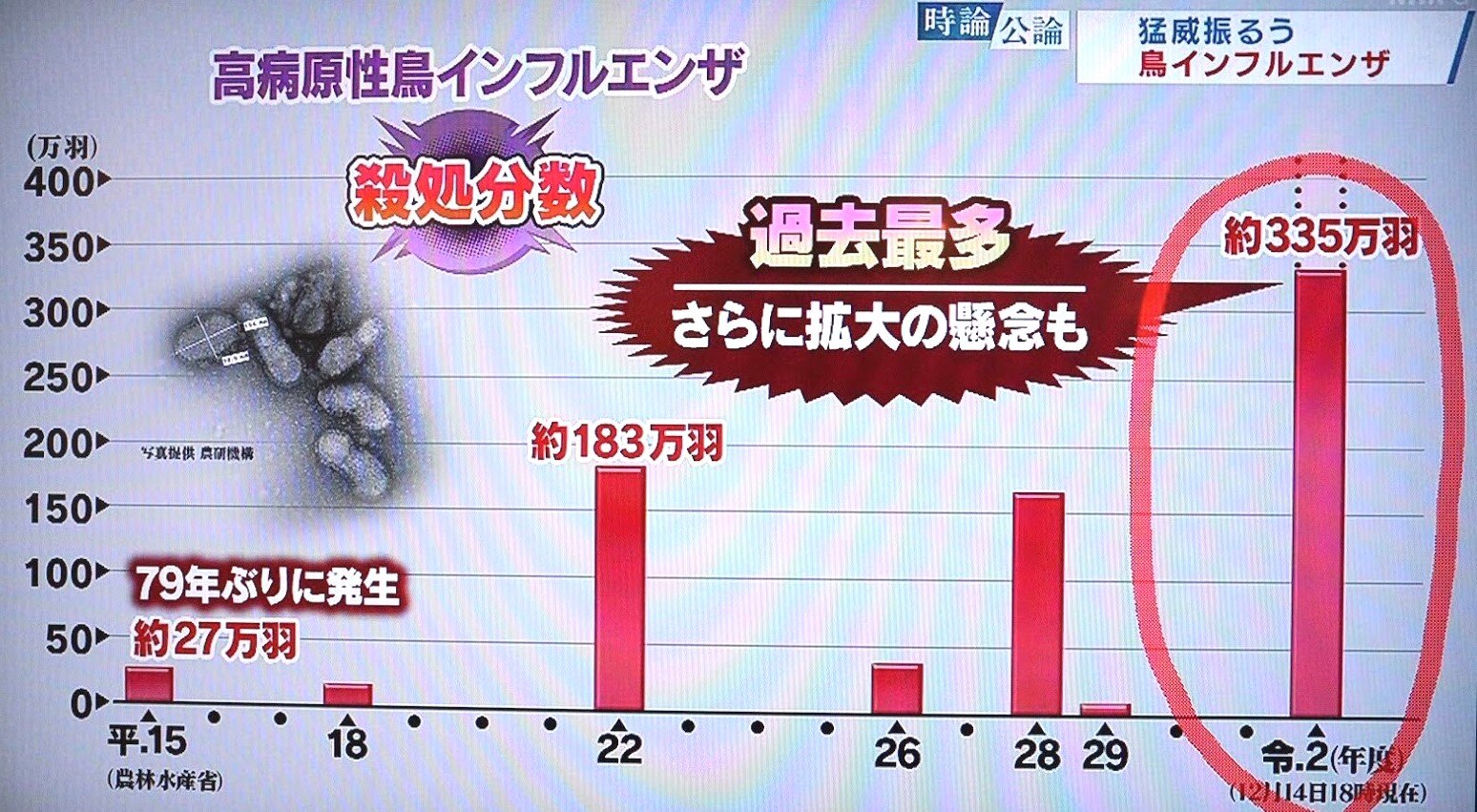 年12月 きまじめチキン日記 年12月 きまじめチキン日記