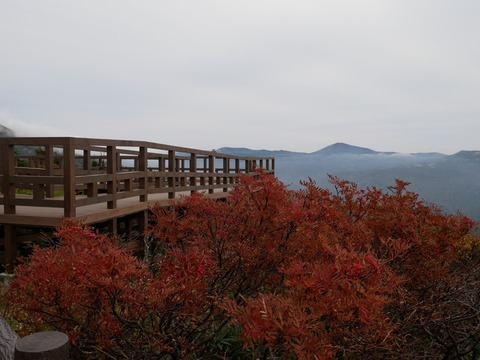 P1030358
