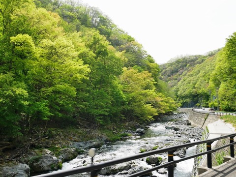 P1040020 (1)