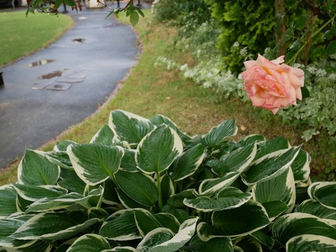 P1030177