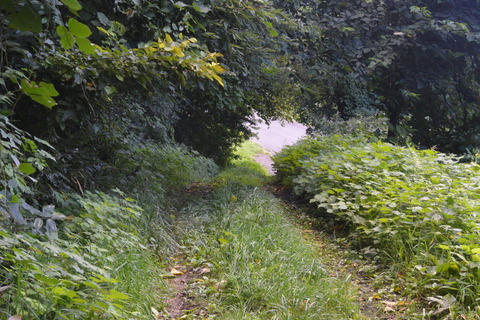 DSC_1357