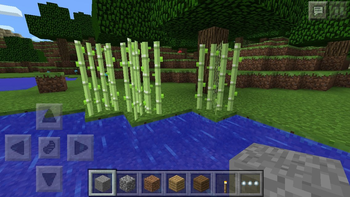 50 マイクラ Pe スカイ ブロック シード 値 ベストコレクション漫画 アニメ