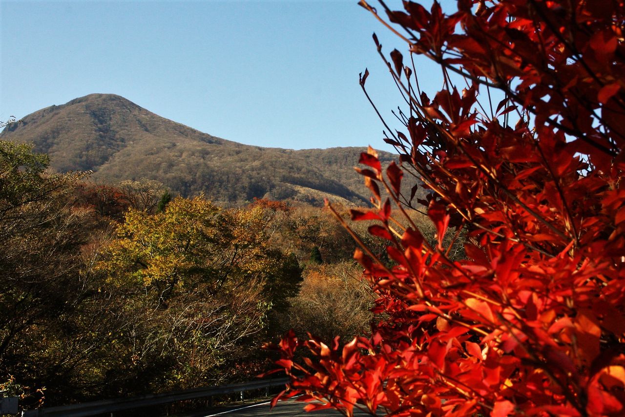 紅葉の男池から冬枯れの平治岳へ : やまやま再発見