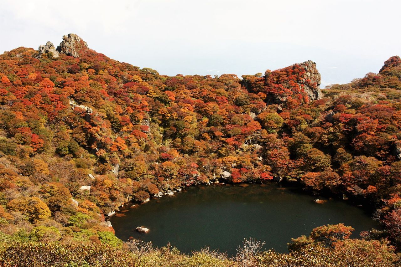 大船山 17紅葉シーズン到来 後編 やまやま再発見
