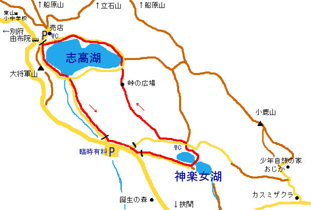 志高湖周辺 桜めぐり(2018) : やまやま再発見