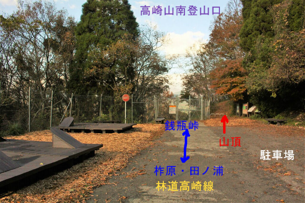 晩秋の高崎山で紅葉と展望を楽しむ やまやま再発見 晩秋の高崎山で紅葉と展望を楽しむ やまやま再発見