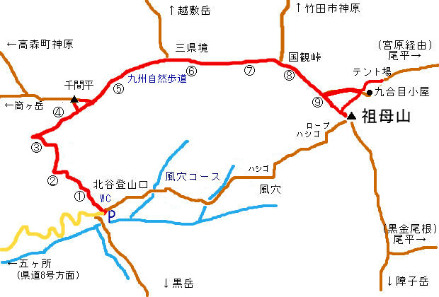 祖母山のオオヤマレンゲ 17 やまやま再発見