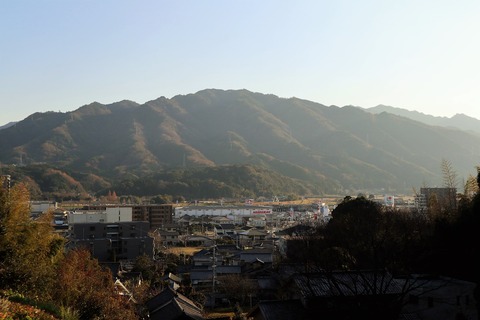 IMG_0091 (2)