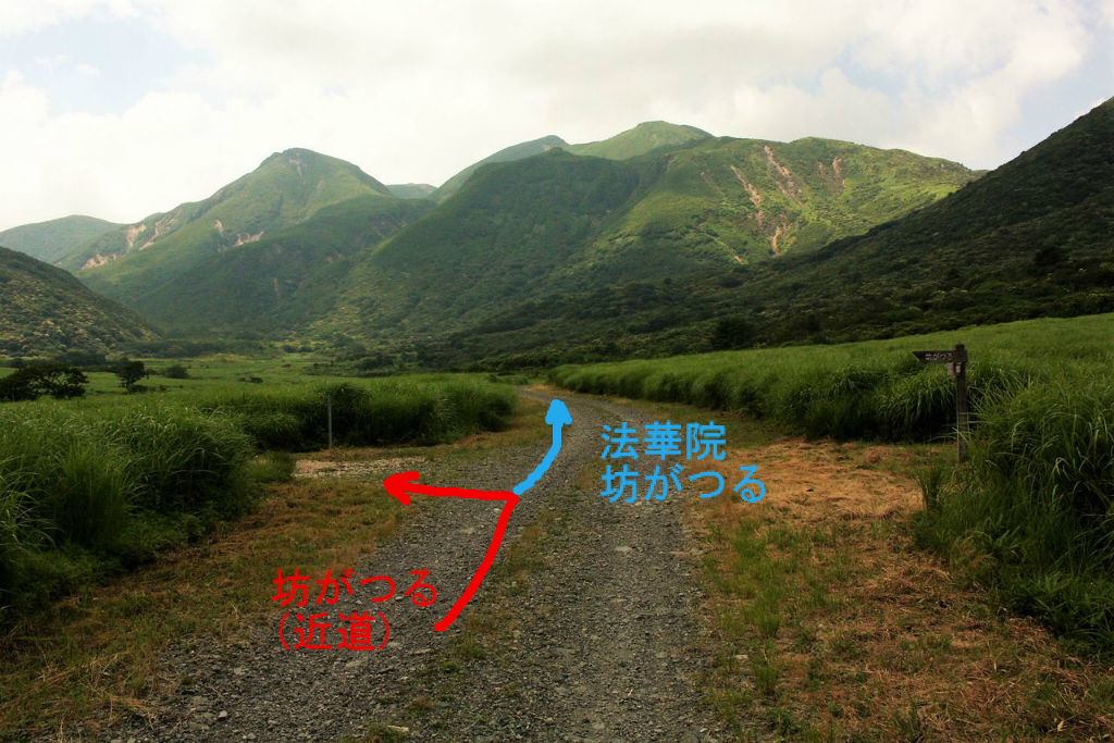 鳴子川の渓流と坊がつるの花たち 前編 やまやま再発見