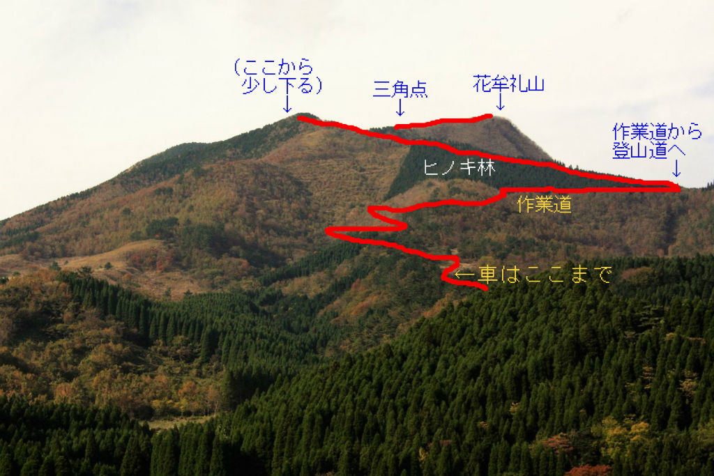 花牟礼山 紅葉の林とススキの原を抜けて やまやま再発見