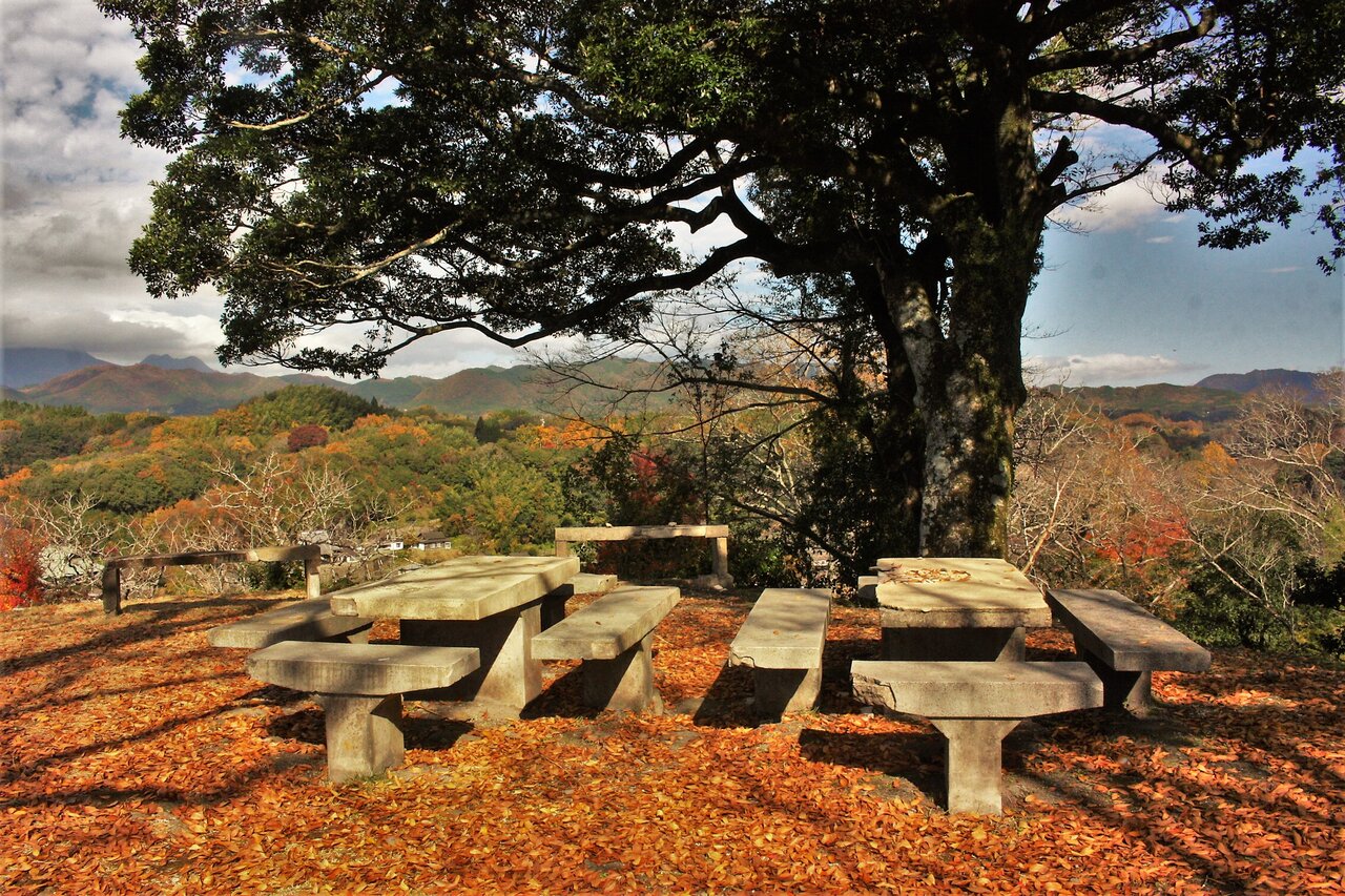 岡城の紅葉を愛で 城下町を囲む丘を巡る 後編 やまやま再発見 岡城の紅葉を愛で 城下町を囲む丘を巡る 後編 やまやま再発見