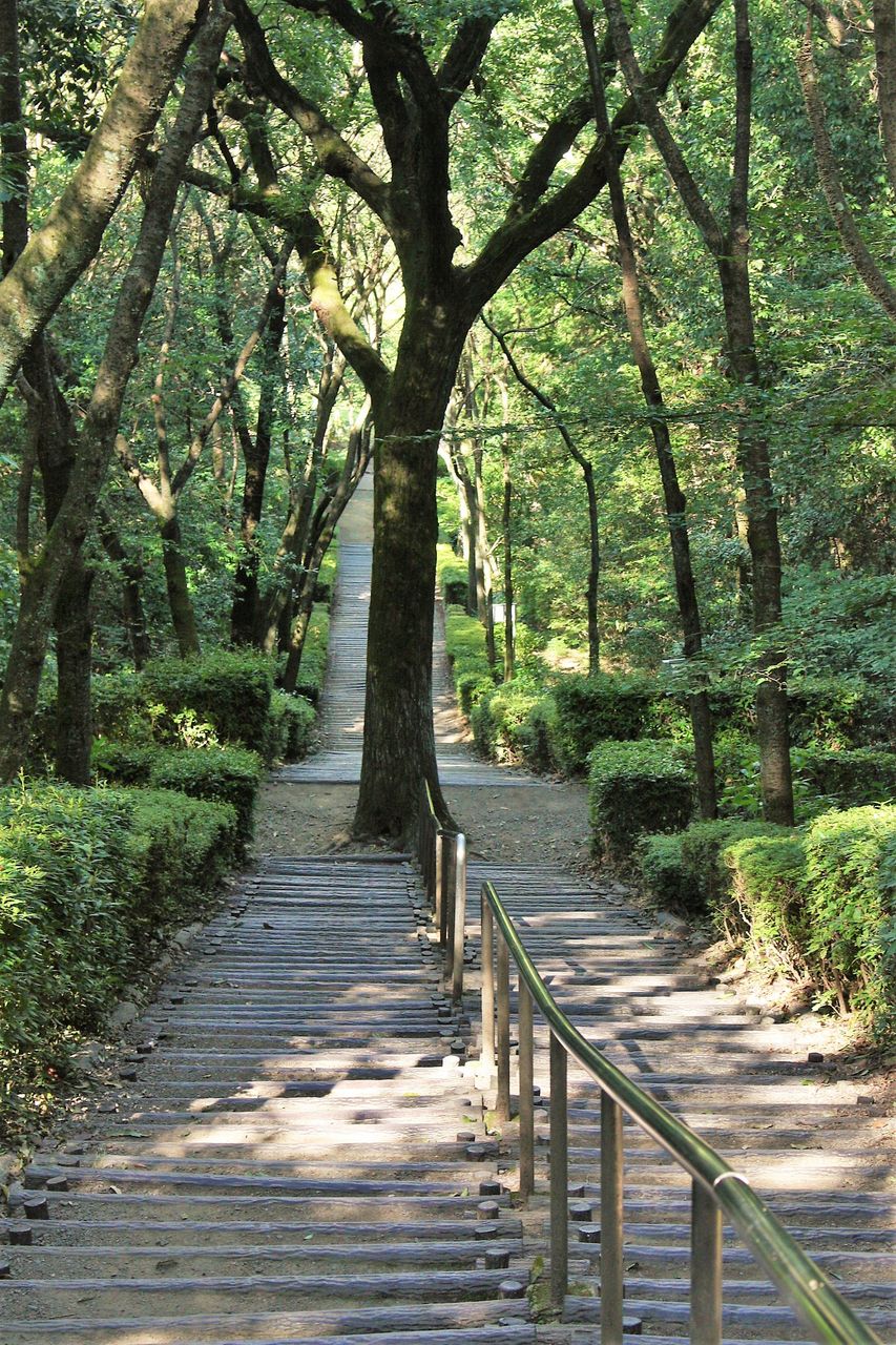 高尾山自然公園の4つの池をめぐる やまやま再発見