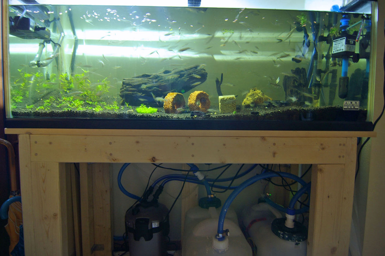 11年01月 海が好き 動物が好き 家の工事も好き