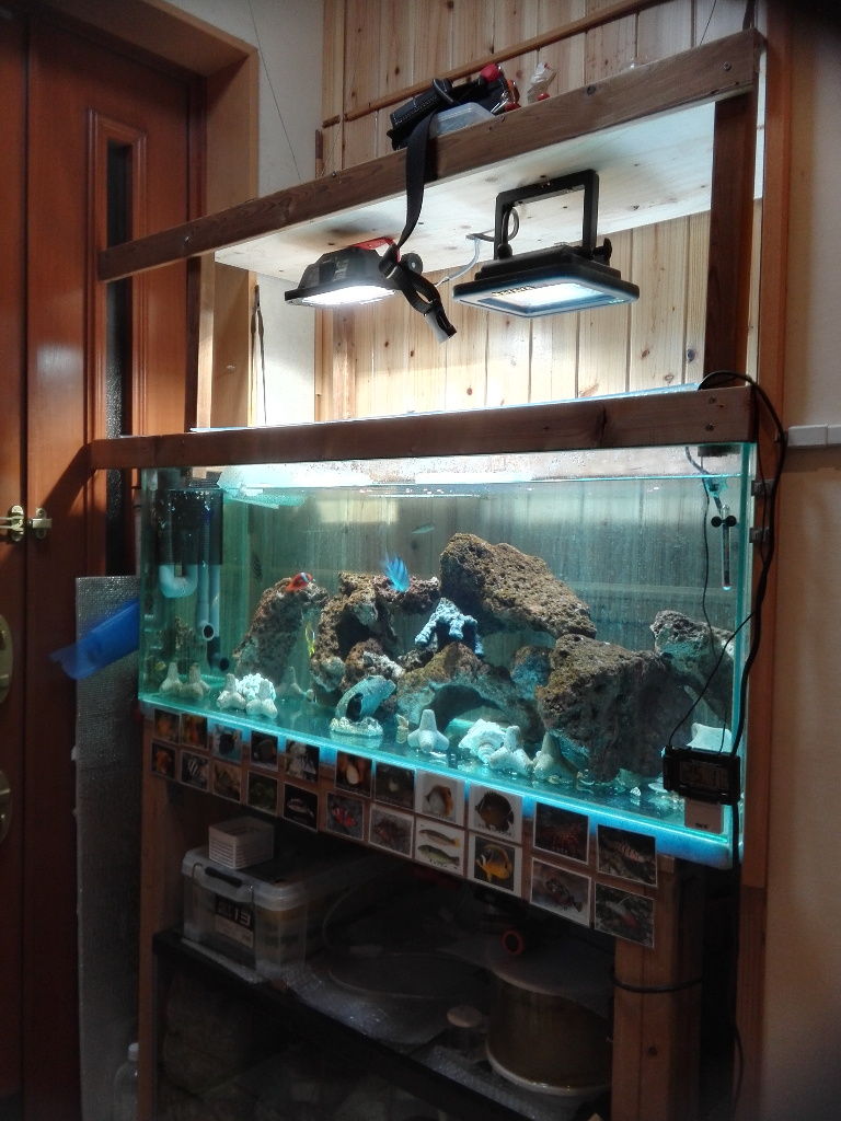 水槽の目隠し工事 海が好き 動物が好き 家の工事も好き