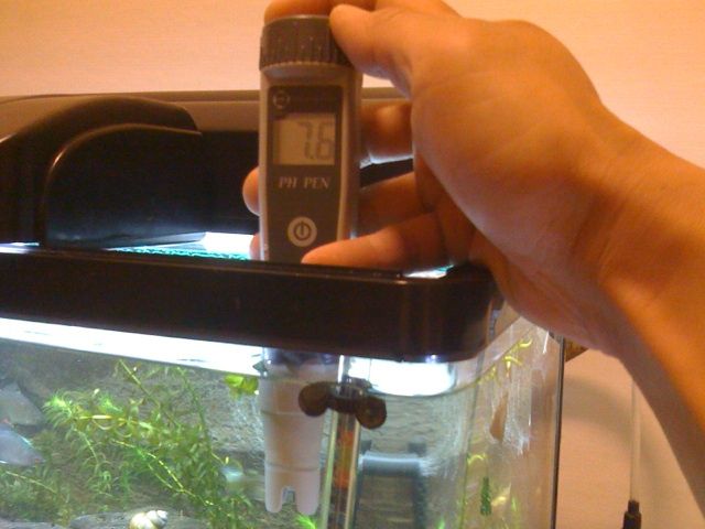 水質改善 Ph測定器購入 海が好き 動物が好き 家の工事も好き 水質改善 Ph測定器購入 海が好き 動物が好き 家の工事も好き