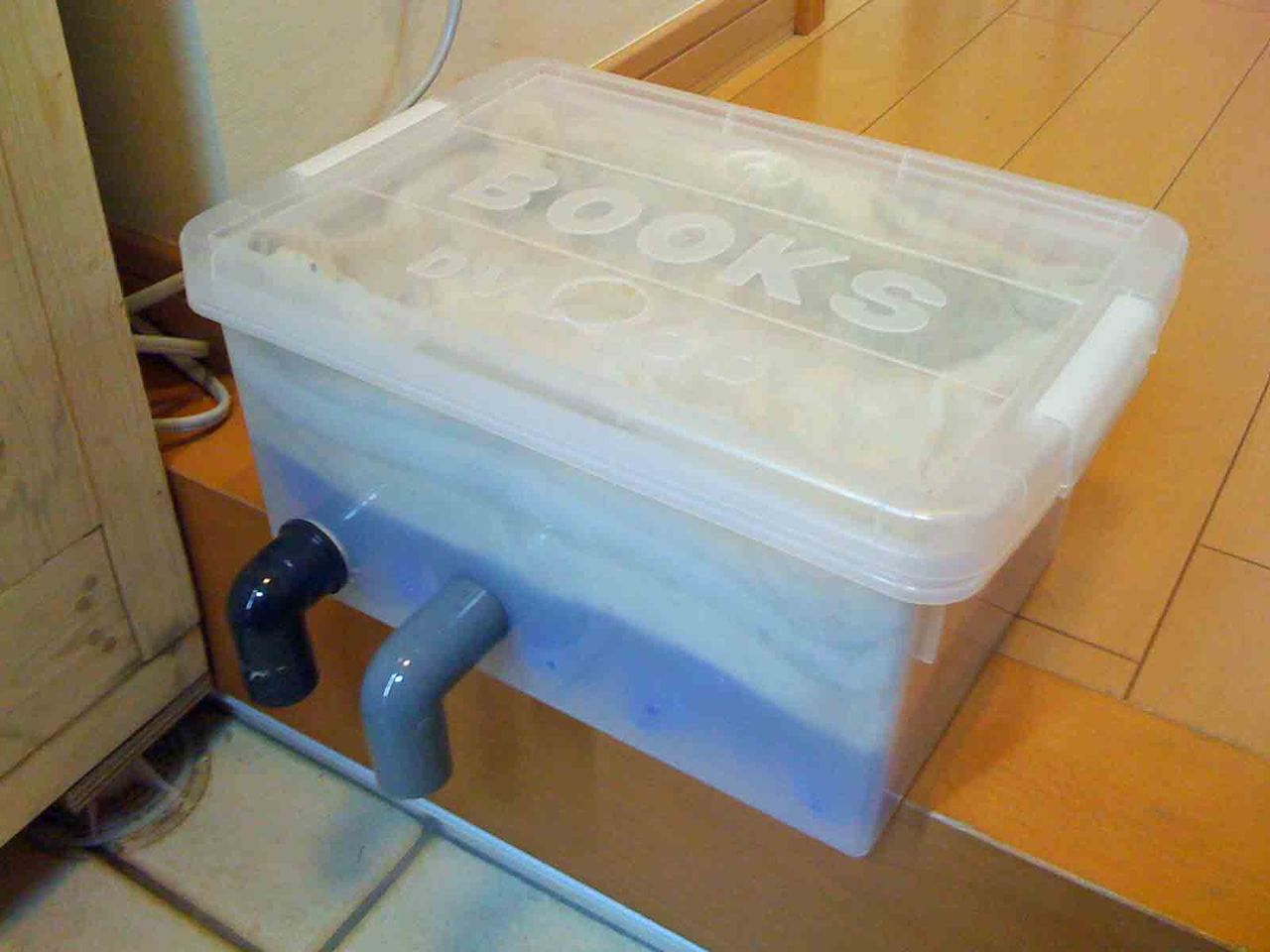 11年04月09日 海が好き 動物が好き 家の工事も好き