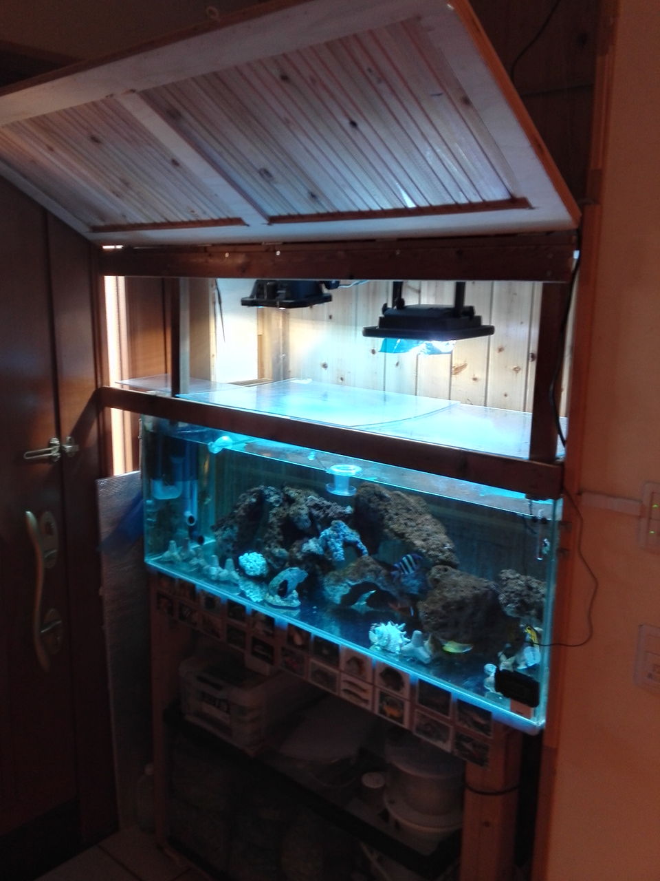 水槽の目隠し工事 海が好き 動物が好き 家の工事も好き