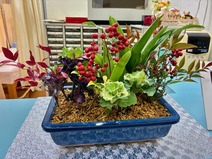 �������ߺ�