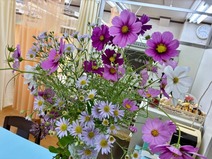 �����⥹��������