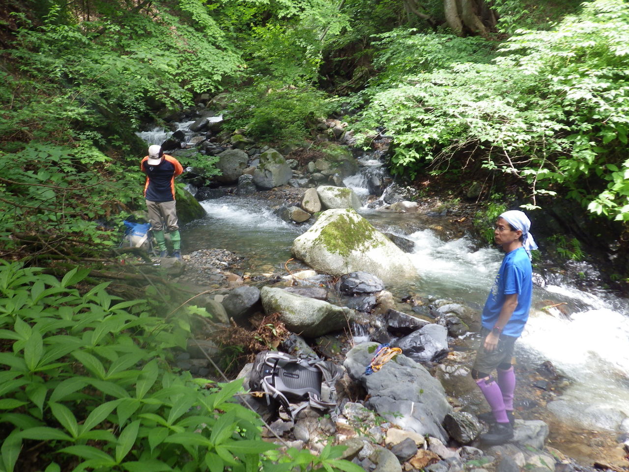 滝子山の沢登り 大鹿川平ツ沢 ズミ沢 親子で歩く気まぐれお散歩 アウトドア日記