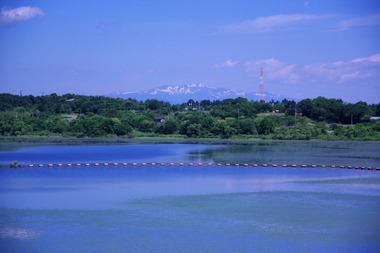 earthday-osaki2019 (21)