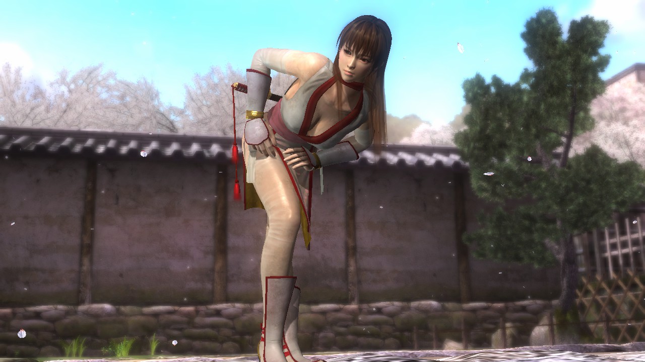 関節操作のわかりやすい解説について とりあえず格闘ゲームについて語るブログ