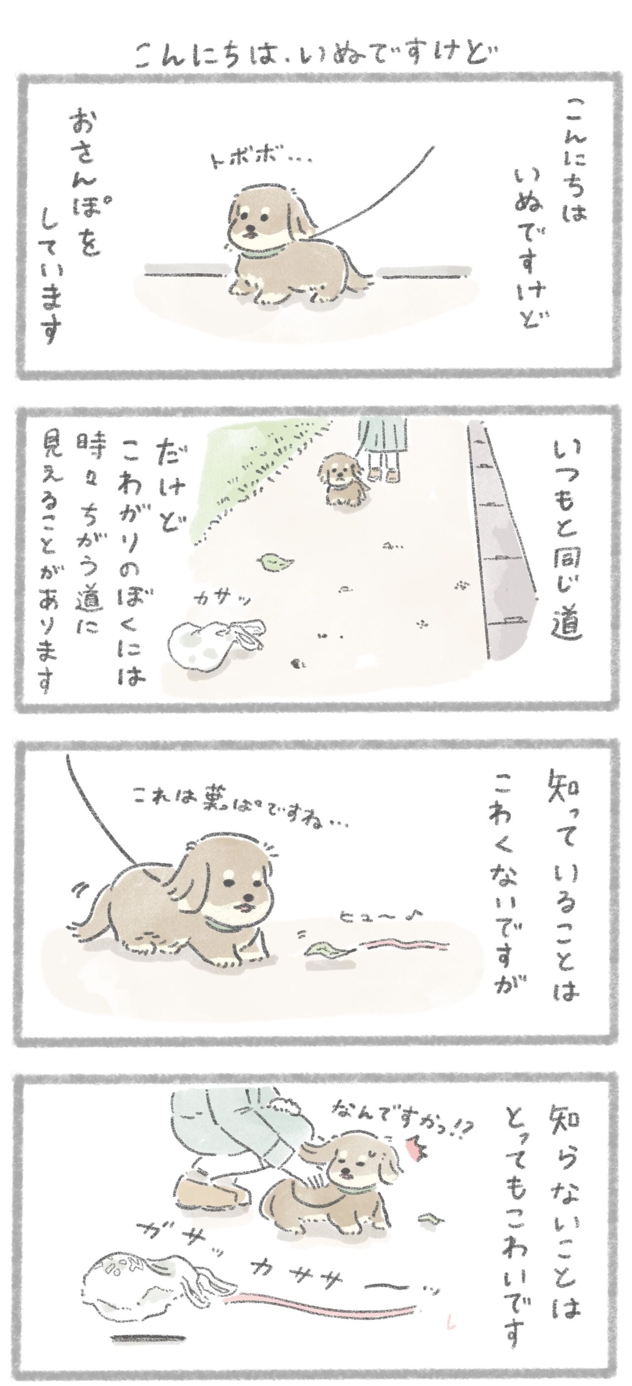 こんにちは、いぬですけど : じゅんのいぬかわいいメモ