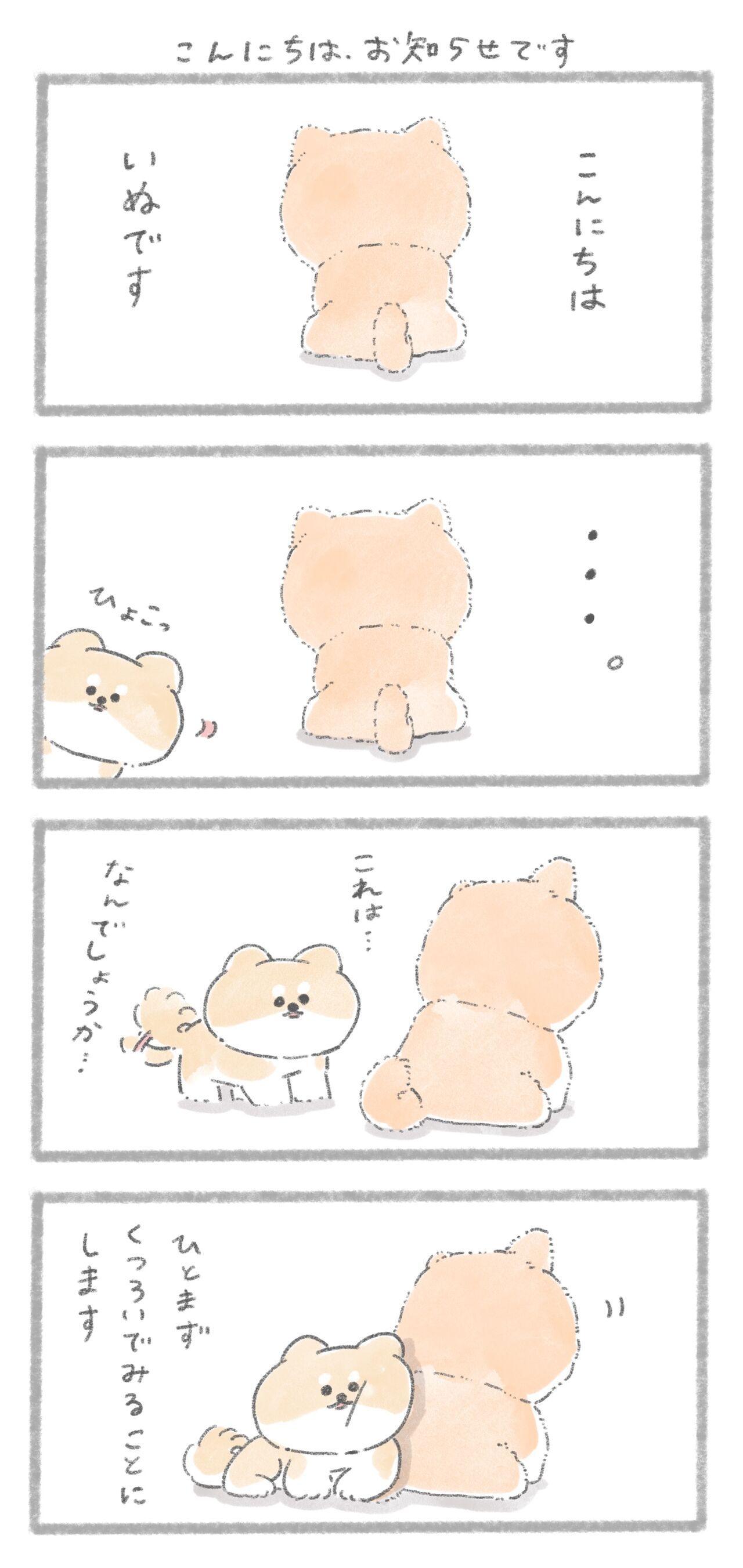 柴犬さんがぬいぐるみに！？ : じゅんのいぬかわいいメモ