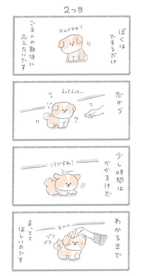 名称未設定のアートワーク 44