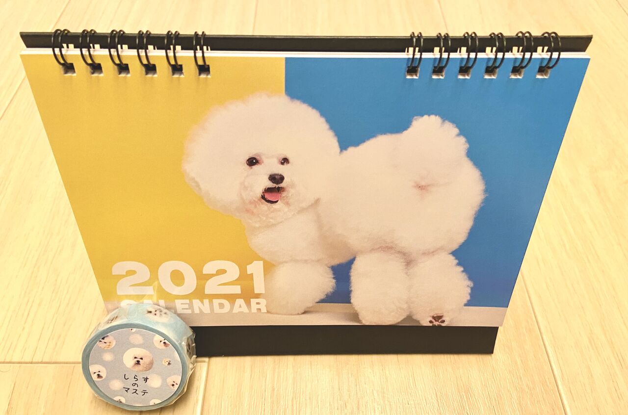 出会った日から 毎日が記念日 じゅんのいぬかわいいメモ Powered By ライブドアブログ