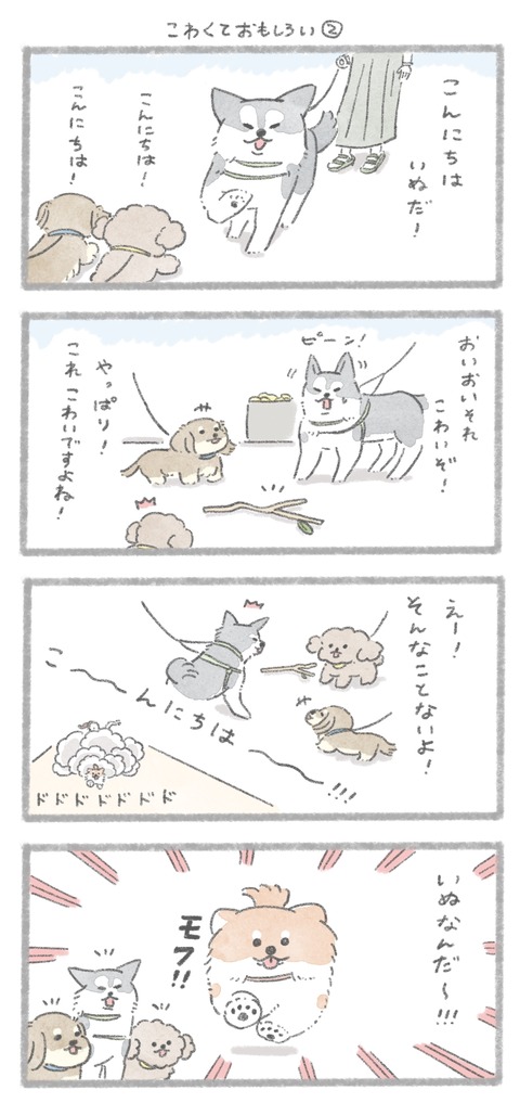 じゅんのいぬかわいいメモ Powered By ライブドアブログ
